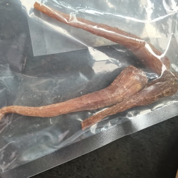 千年藏雪参
