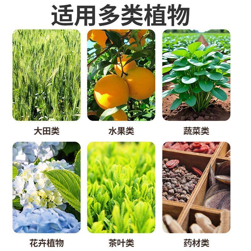 根腐抑制剂快速壮根猝倒烂根茎基腐死棵僵苗净化土壤抗病菌防