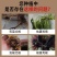 根腐抑制剂快速壮根猝倒烂根茎基腐死棵僵苗净化土壤抗病菌防