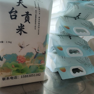 大米