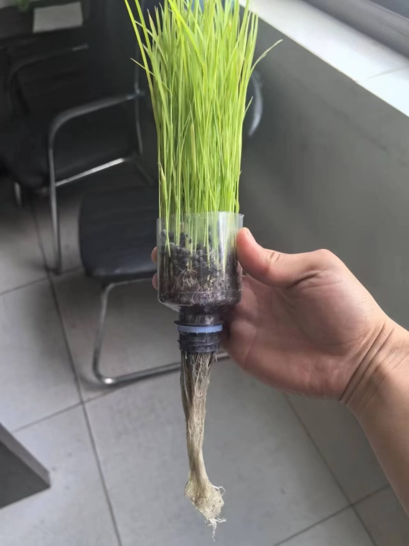 肥料微生物菌剂生物有机肥特种肥料枯草芽孢杆菌