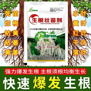 生根壮苗剂生根粉生根液移栽扦插果树花卉绿萝生根剂强力发根