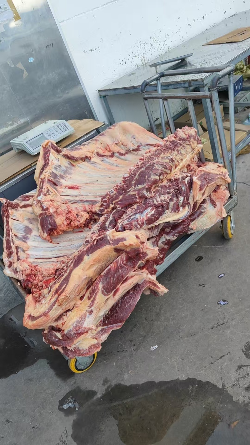 【牛排】草原放养黄牛肉排，精品五斤装、整扇的都有，手续全