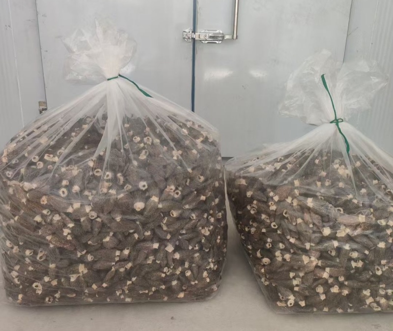 羊肚菌羊肚菌批发六妹七妹系列品质好全国包邮！！