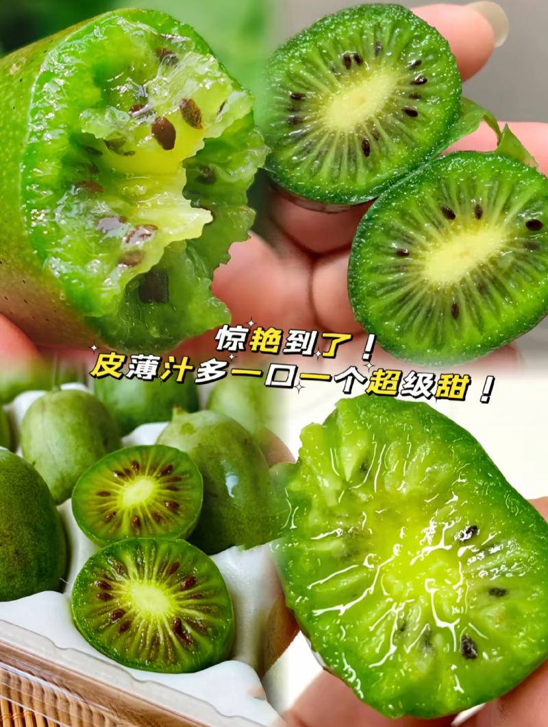 丹东软枣猕猴桃（黑籽。甜度高）可提供打包，冷库，代发