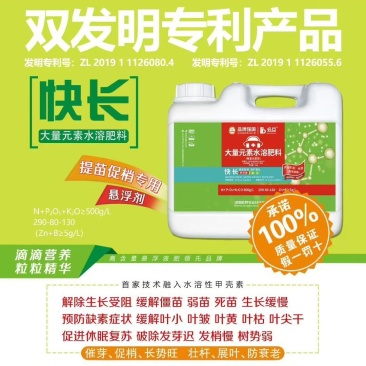 快长提苗促梢专用促进生长抗逆防衰不含任何激素