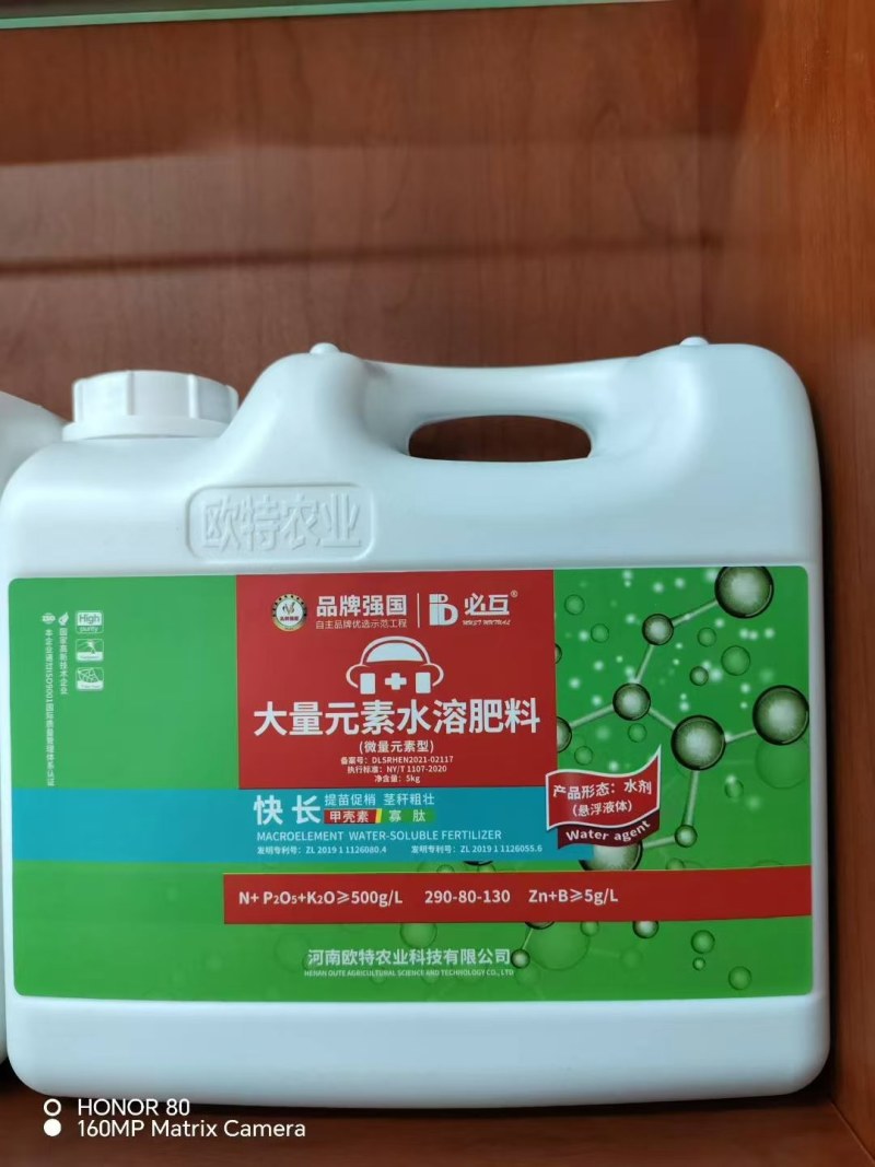 快长提苗促梢专用促进生长抗逆防衰不含任何激素