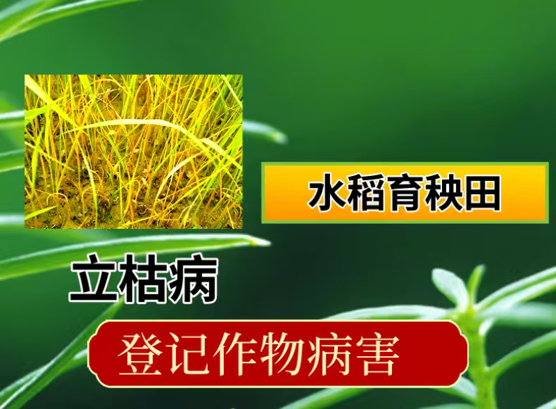 3%甲霜恶霉灵杀菌剂立枯病根部病害1000克