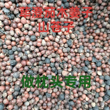 木姜子，山苍子山胡椒榨过油做枕头专用大量供应价格优惠