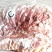 蒙古马肉，分割体，前腿，后腿，肋条***********