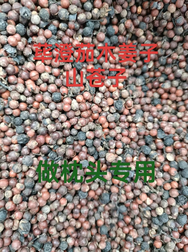 木姜子，山苍子山胡椒榨过油做枕头专用大量供应价格优惠