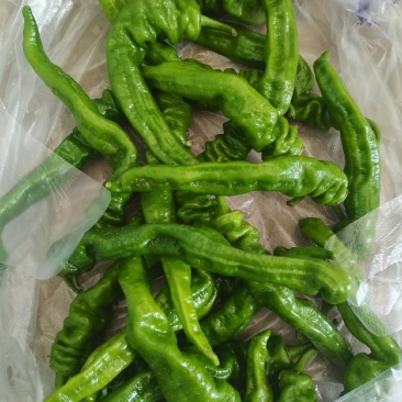 新鲜螺丝椒