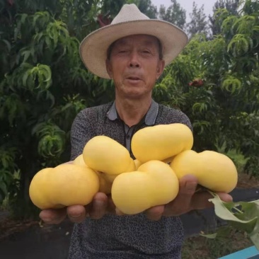 风味天后黄油蟠桃