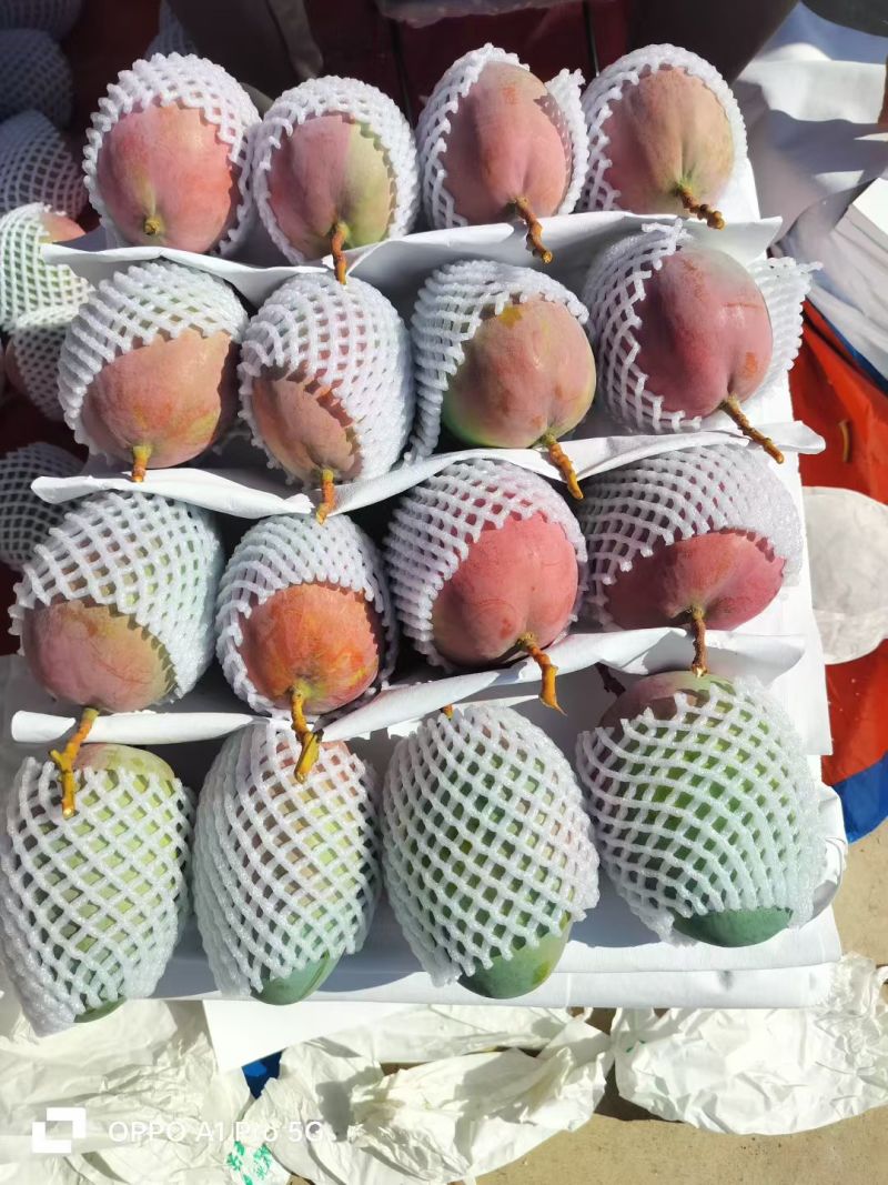 精品果