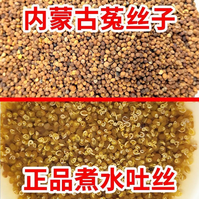 内蒙菟丝子原产地菟丝子新货真货泡水泡酒中药材产地货源