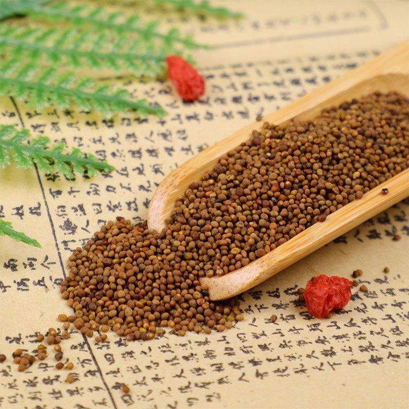 内蒙菟丝子原产地菟丝子新货真货泡水泡酒中药材产地货源