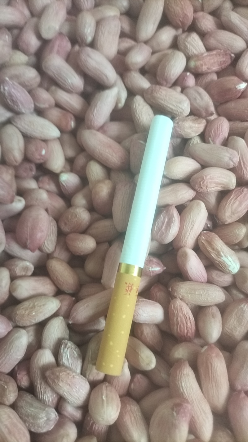 花生芽专用9616
