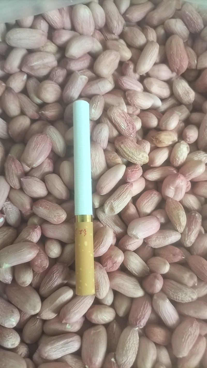 花生芽专用9616