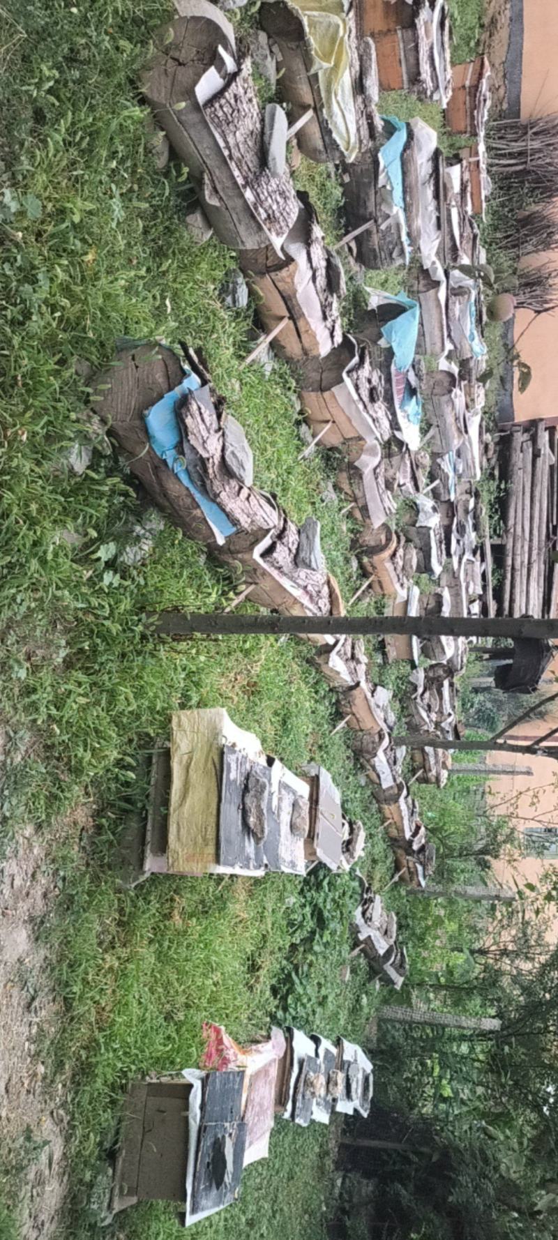 【精品】土蜂蜜每年只采一次物美价廉供应全国欢迎咨询下单