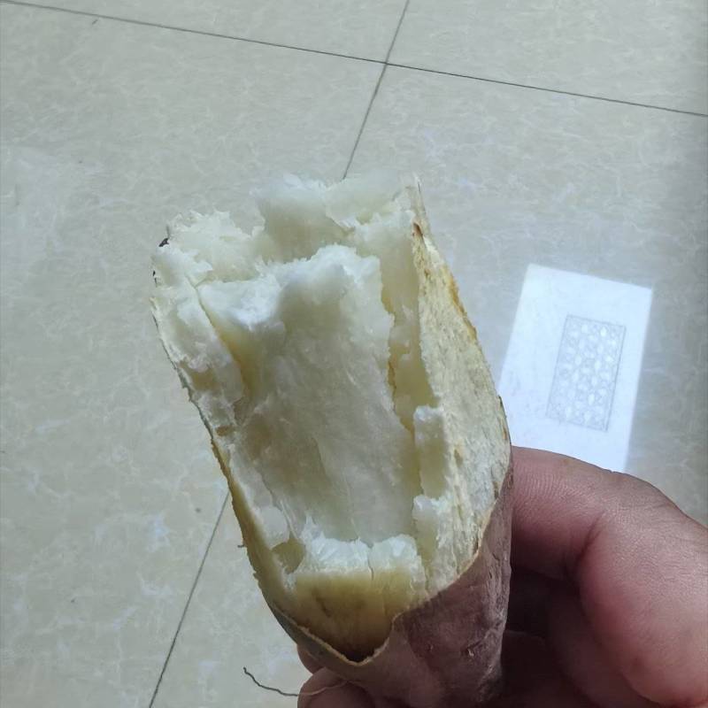 纯沙地哈密薯，条形好色泽亮，现挖现采支持各种包装全国发货