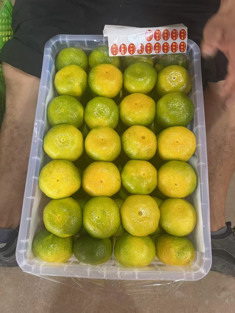 精品蜜橘皮薄多汁量大从优产地直发对接全国诚信经营