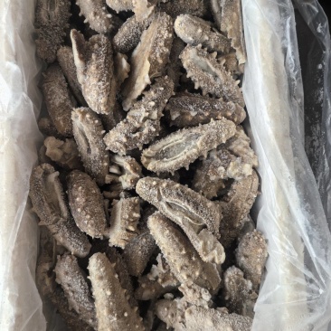 鲜食残参