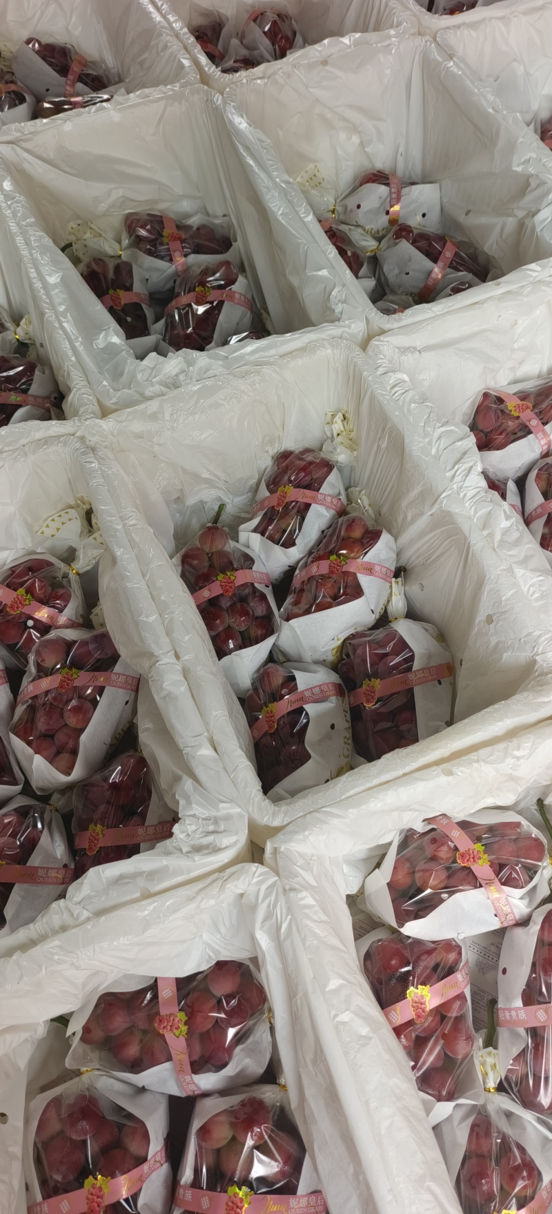云南宾川妮娜皇后葡萄各平台一件代发社区团购员工福利