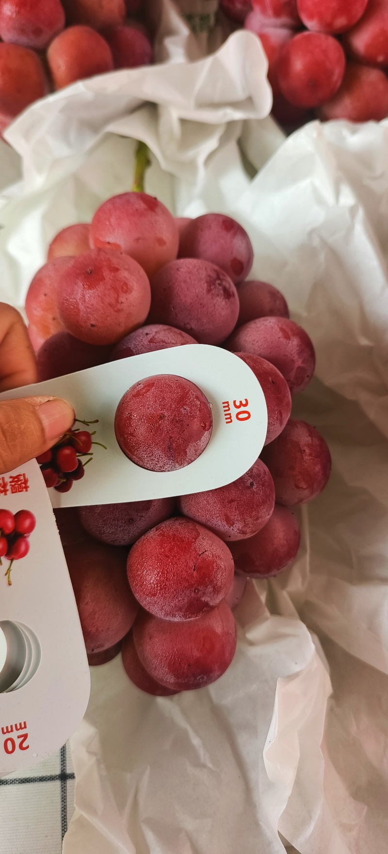 云南宾川妮娜皇后葡萄各平台一件代发社区团购员工福利