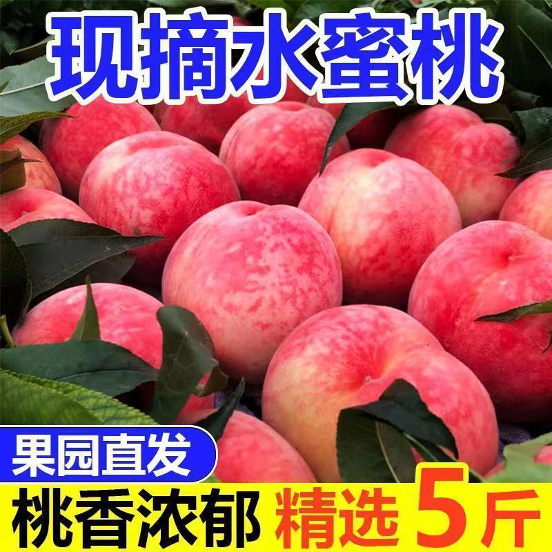 青州蜜桃大量现货供应支持电商一件代发社区团购快手抖音多多