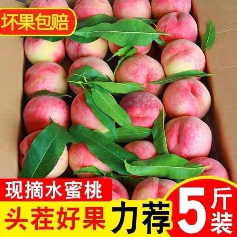 正宗青州蜜桃大量现货供应保证质量支持电商一件代发社区团购