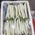 白长茄