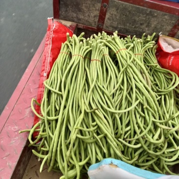 豆角