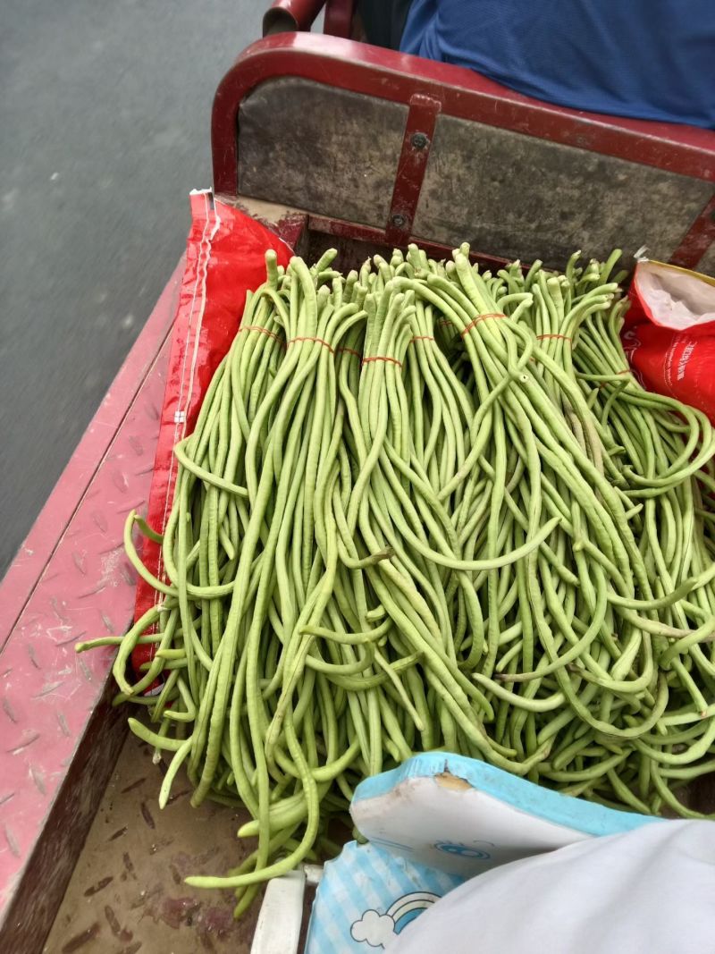豆角