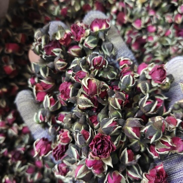 玫瑰金边玫瑰花选无硫花茶类关书药业批发中药材