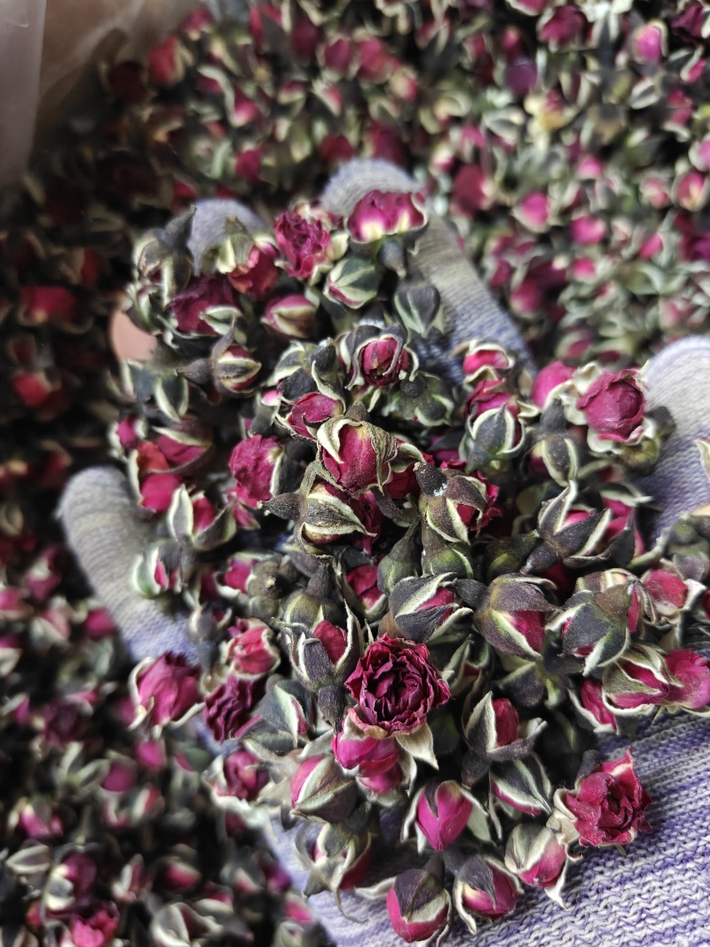 玫瑰金边玫瑰花选无硫花茶类关书药业批发中药材