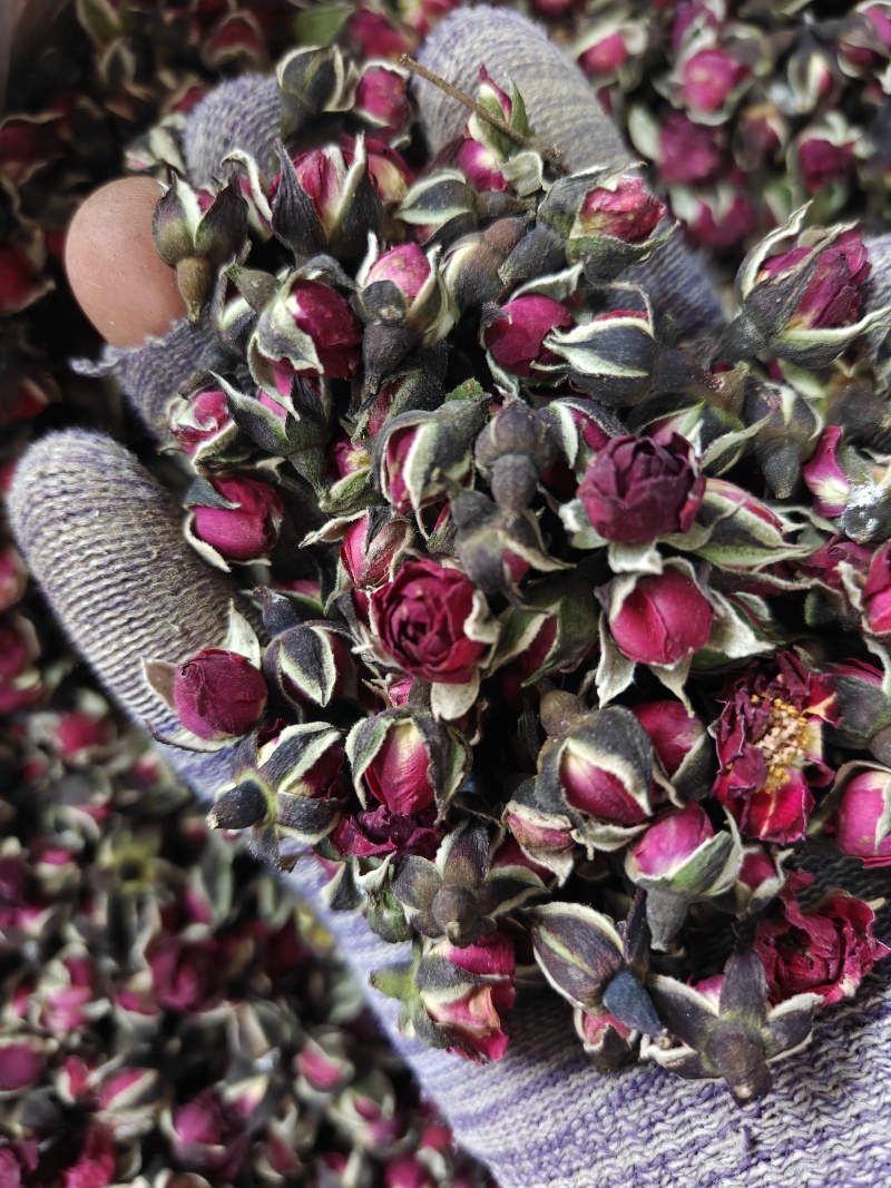 玫瑰金边玫瑰花选无硫花茶类关书药业批发中药材