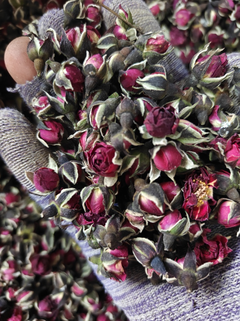 玫瑰金边玫瑰花选无硫花茶类关书药业批发中药材