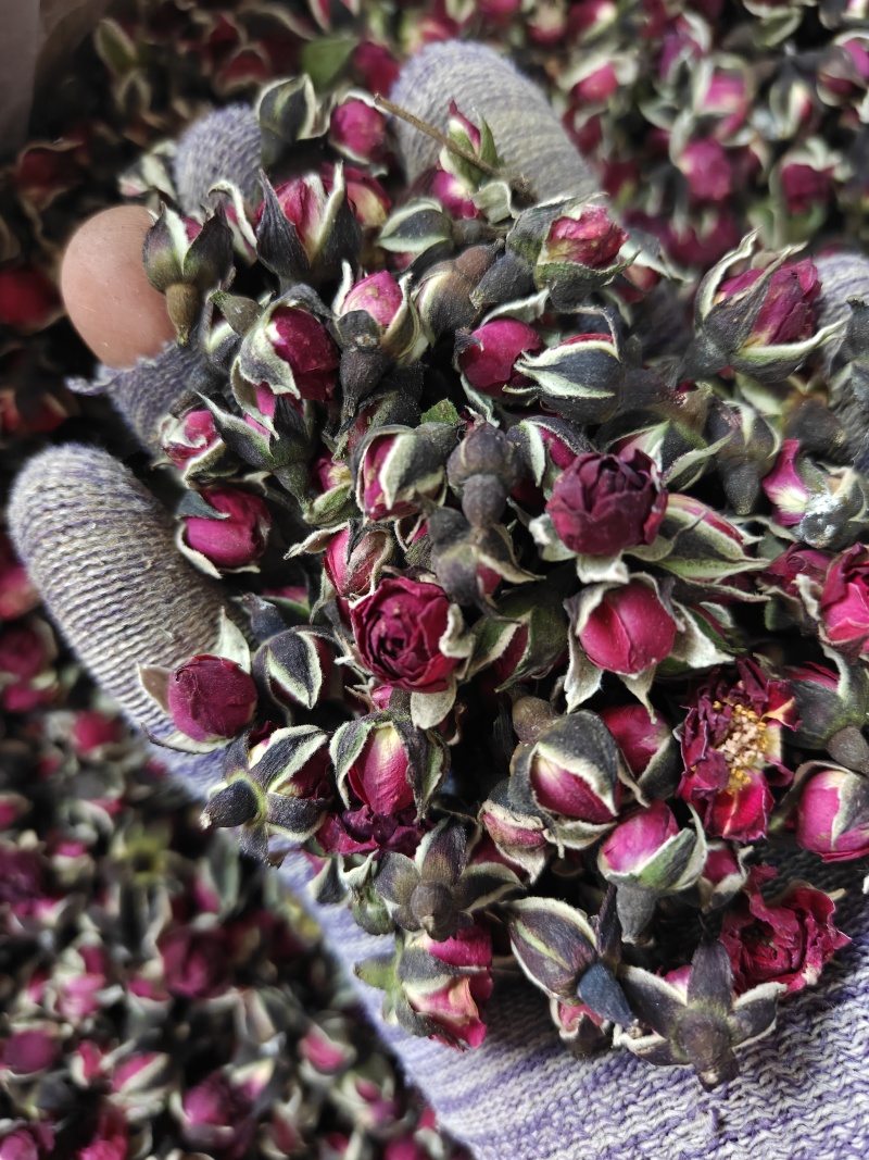 玫瑰金边玫瑰花选无硫花茶类关书药业批发中药材
