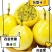 钦蜜九号黄金百香果特甜不酸高品质电商代发市场代采