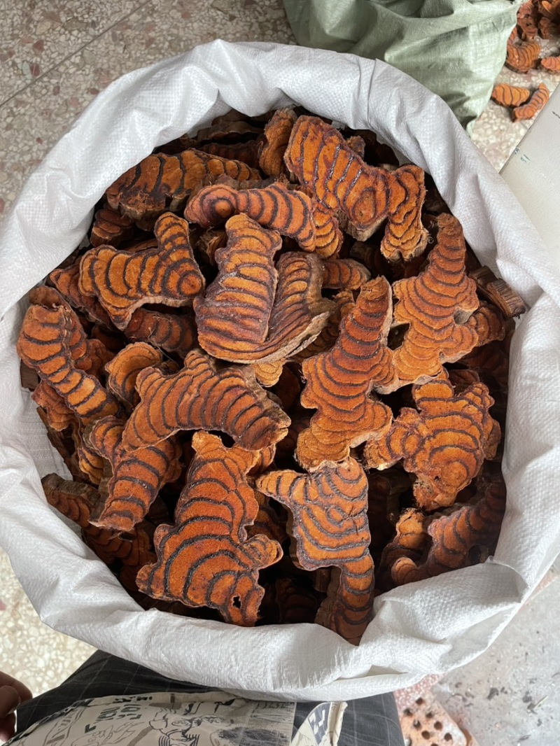 鸡血藤厚片，网红片，1.5厘米厚片