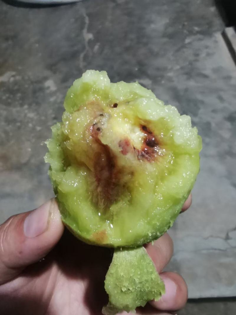 广元苍溪红心猕猴桃