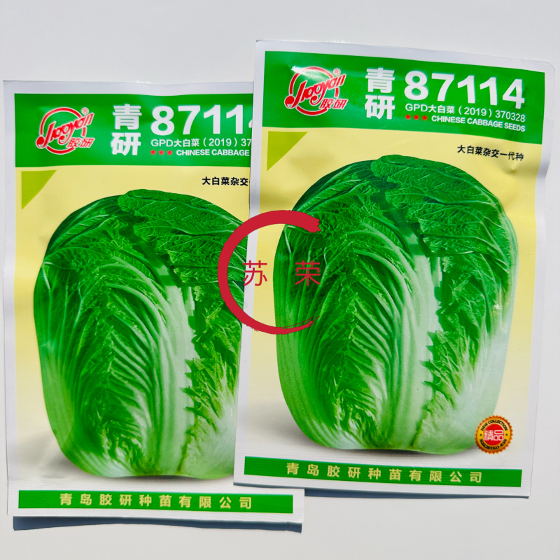 青研87114大白菜种子高产抗病秋季包心白菜杂交