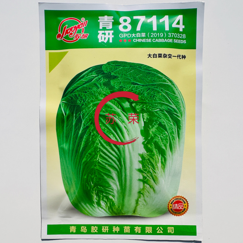 青研87114大白菜种子高产抗病秋季包心白菜杂交