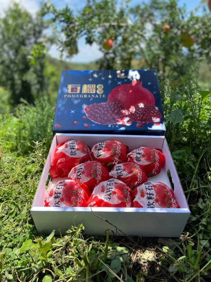 突尼斯软籽石榴，精品礼盒装