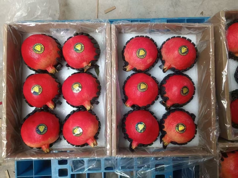 突尼斯软籽石榴，精品礼盒装