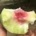 晚熟大青桃，口感脆桃无酸。