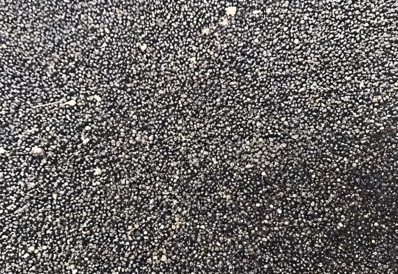 25年新采纯正大通草种颗粒爆满色泽透亮发芽率高