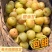 正宗潮汕柿饼甜油甘新鲜油柑果余甘牛甘鲜果子孕妇7月份应季