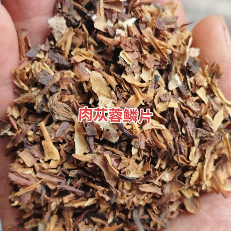肉苁蓉鳞片