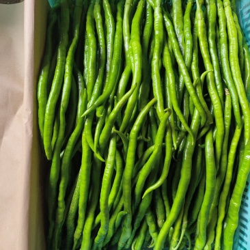 山东省青州市优质蔬菜